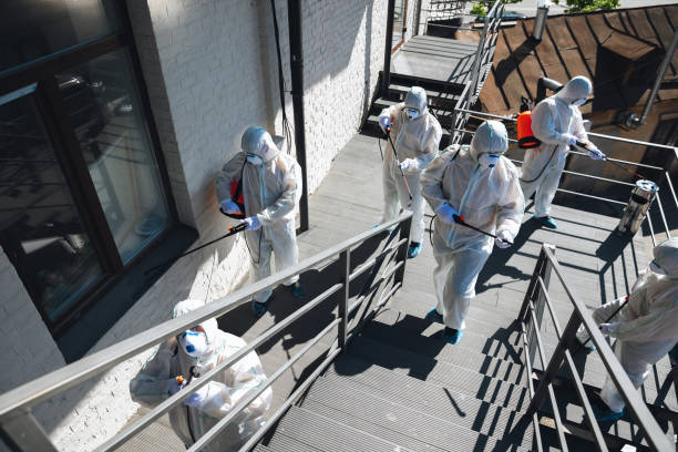 Mold Remediation for Vacation Homes in Riverdale, UT